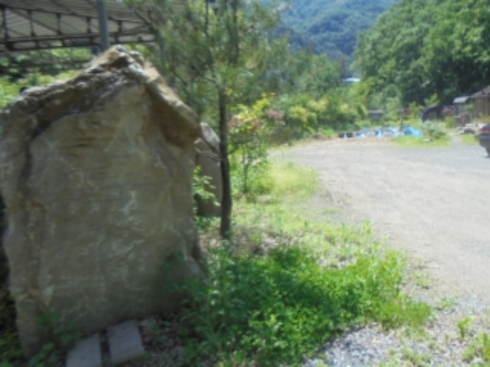 목적물 3번, 조경수