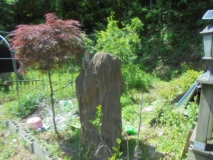 목적물 4번에 조경석, 조경수