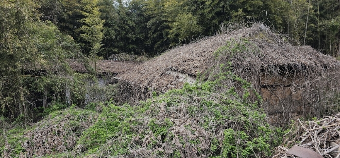 ㉤㉥제시외 건물