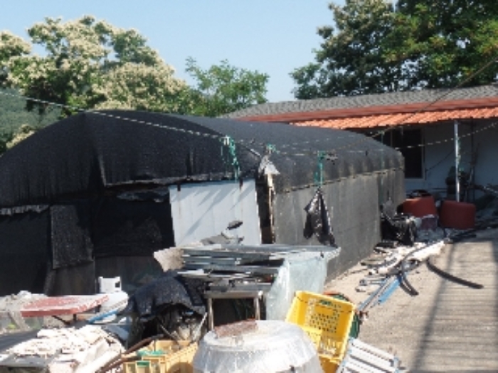 기호 5.지상 제시외 ㅊ.비닐하우스