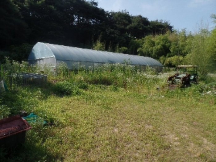 기호 4.지상 제시외 ㅍ.비닐하우스