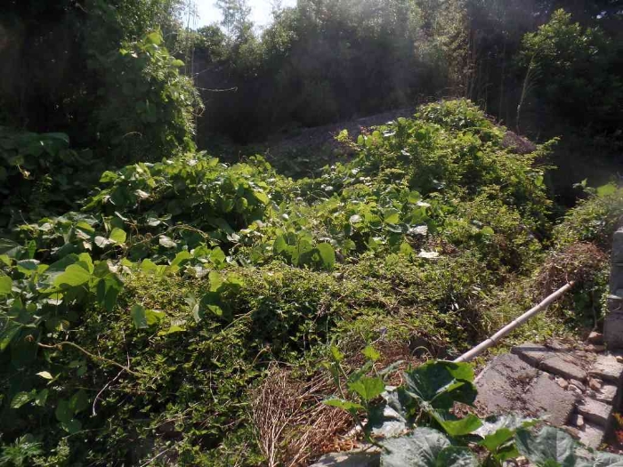 기호 4.지상 김문택소유로 탐문조사되는 제시외 ㅁ.창고, ㅂ.폐가