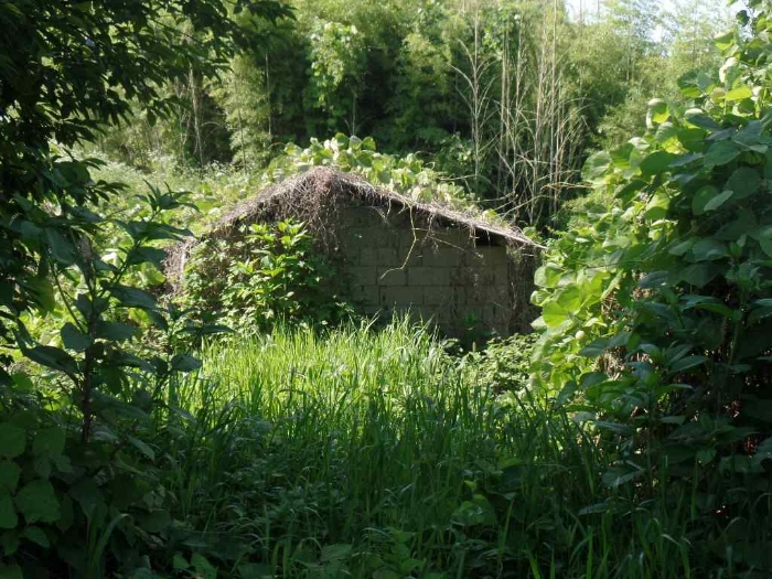 기호 4.지상 제시외 ㄷ.창고