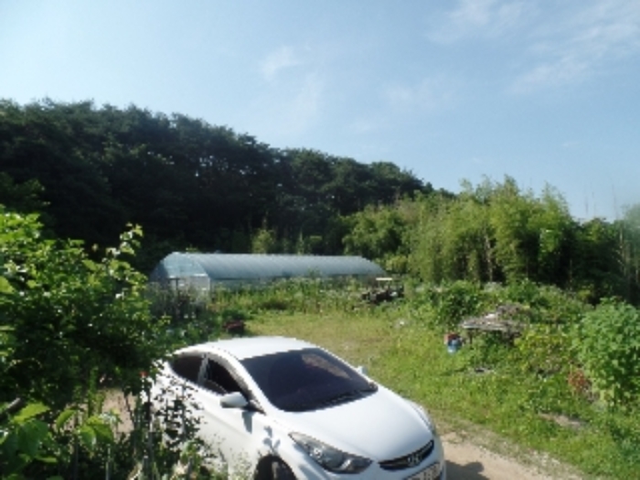 기호 4. 북측 및 기호 8.임야 전경