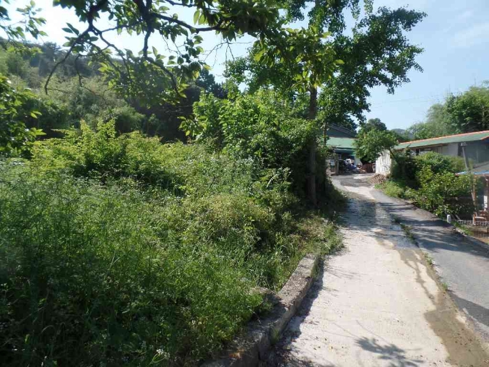 기호 4. 남서측 일부 도로