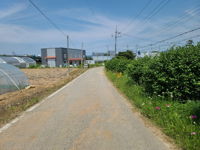 본건 남서측 현