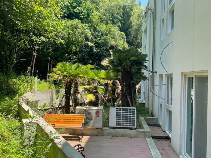 기호(1) 지상 제시외수목