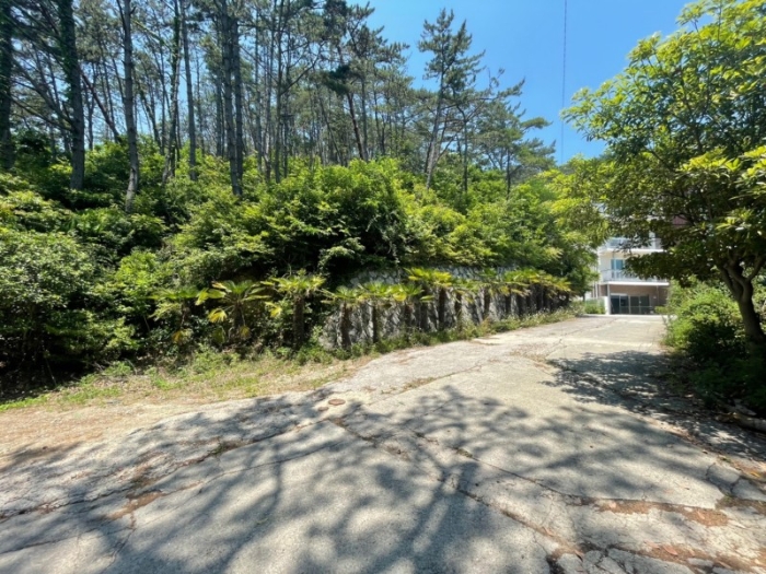 기호(4) 지상 제시외수목