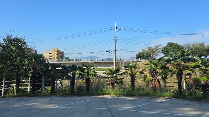 본건(1) 일부 전경 