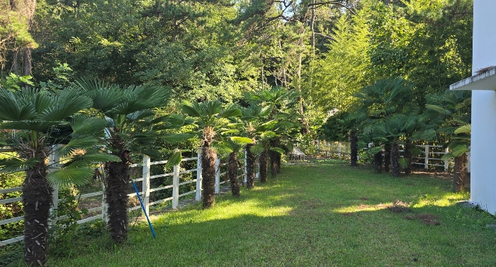 본건(1) 일부 전경 