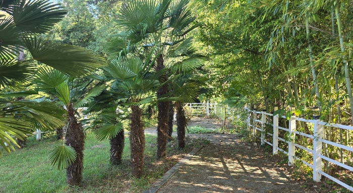 본건(1) 일부 전경 