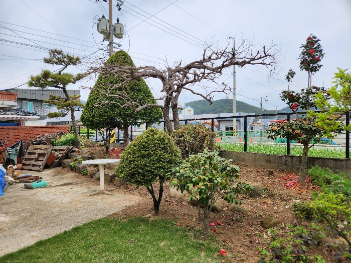 제시외 수목 
소나무 주목 동백나무 등