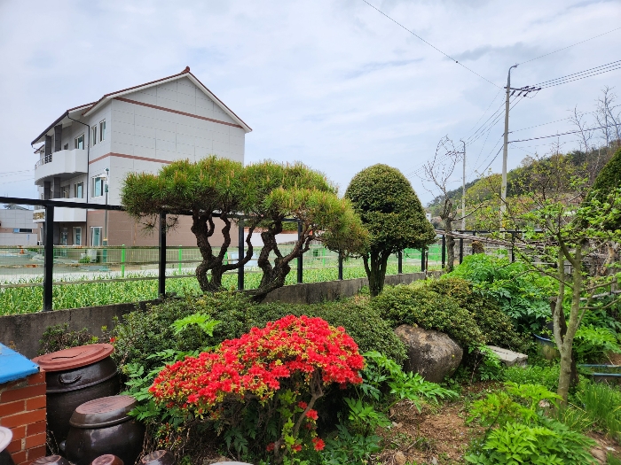 제시외 수목 
소나무 주목 연산홍 정원석 등