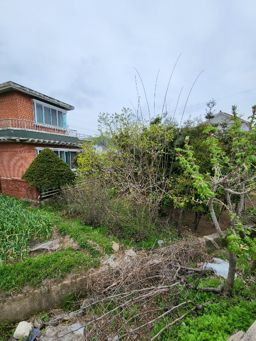 기호3 토지 
남서측에서 북동측을 향하여 촬영