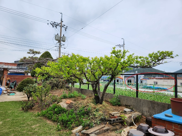 제시외 수목 
정원수 등