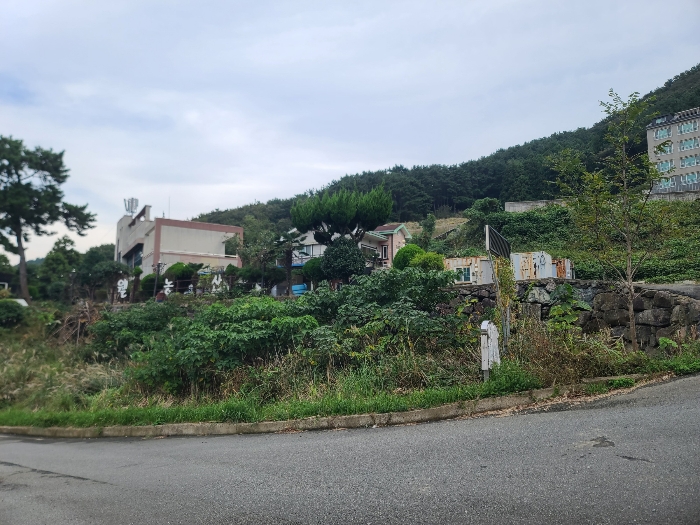 본건전경(기호(