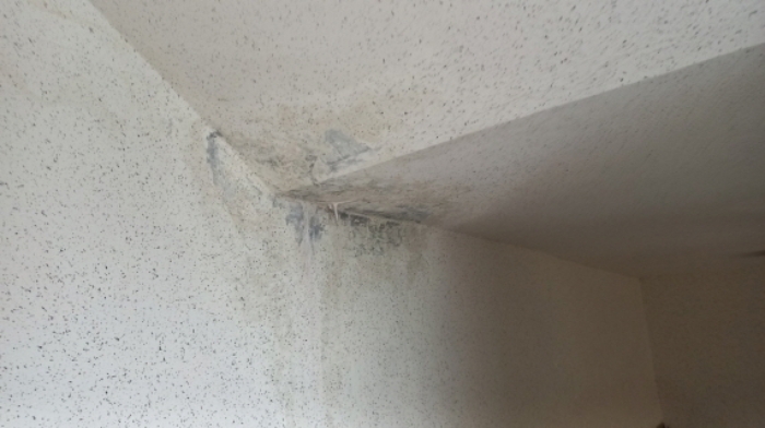 목록 1,2    건물 2 실내 