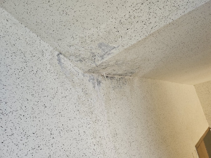 기호(2) 건물 계단실 천장(누수 추정)