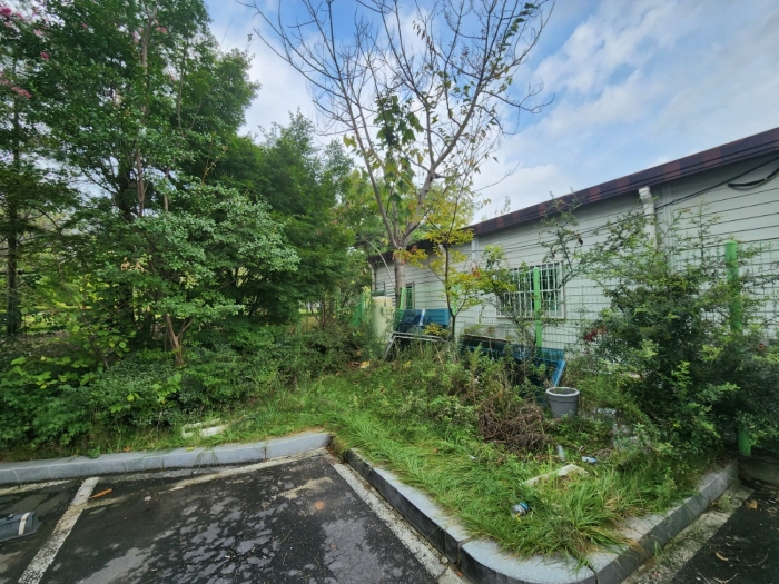 본건 일부 수목