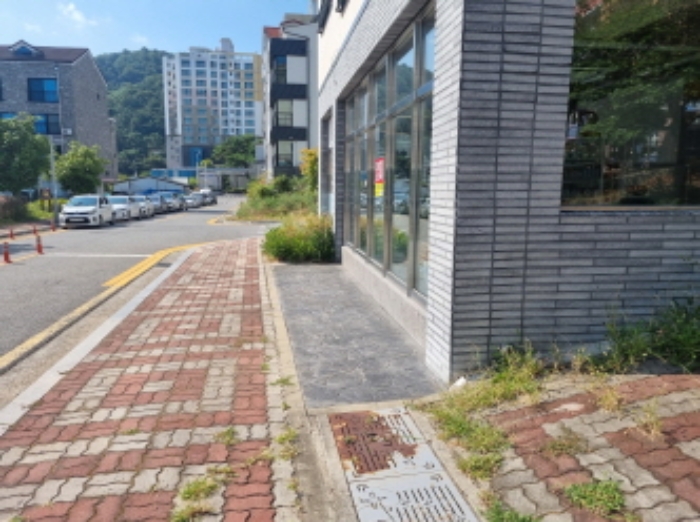 본건 1항 남측 경계 및 전경