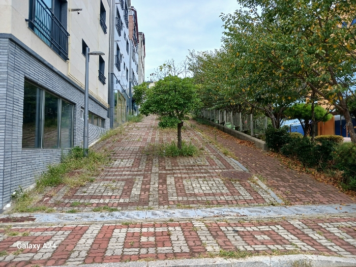 접면 도로(남동측)