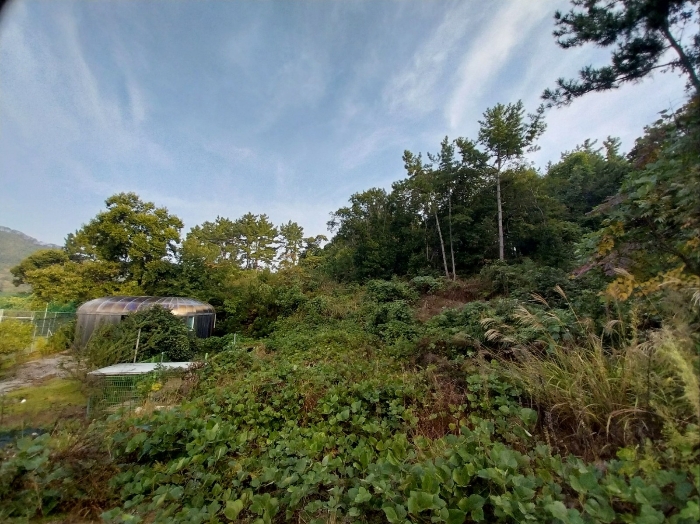 본 건 전 경
(기호 9,10)