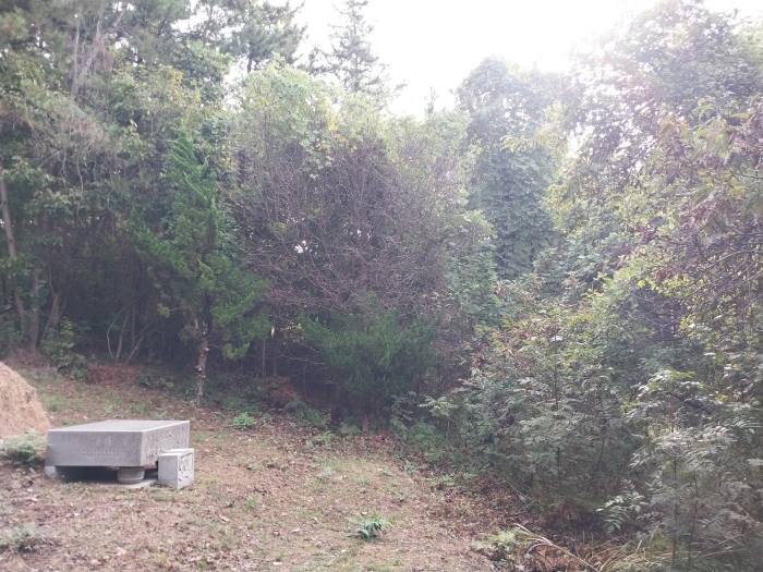 본 건 전 경
(기호 9,10)