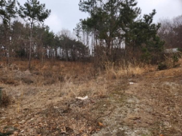 부동산표시 제10호