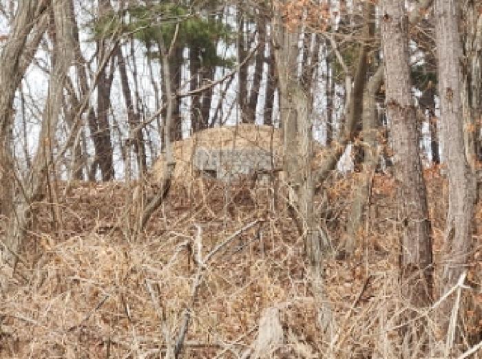 부동산표시 제10호 분묘가 소재하나 경계가 불분명