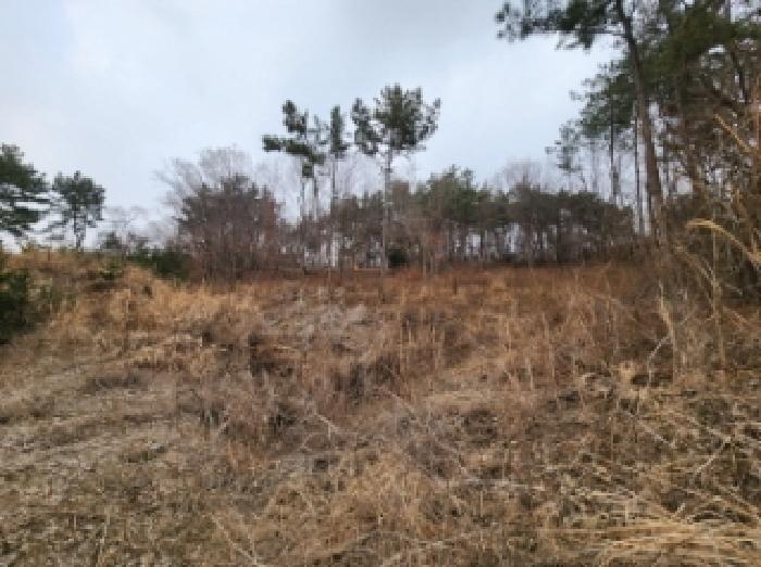 부동산표시 제9호