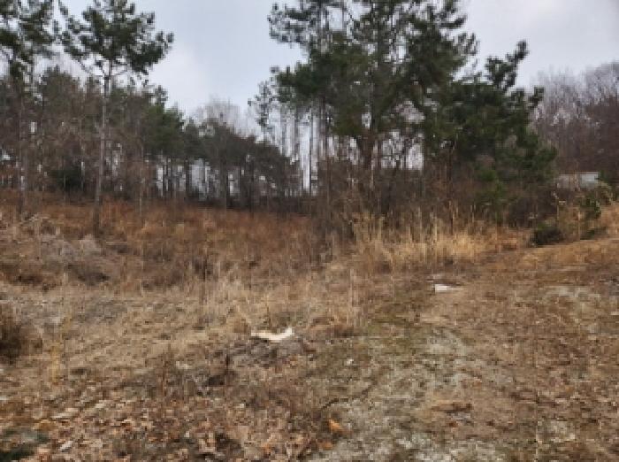 부동산표시 제1호