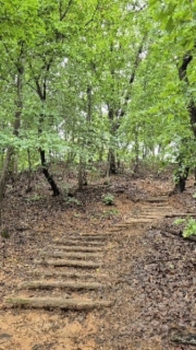 부동산 안 등산로1