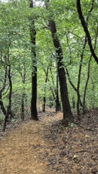 부동산 안 등산로2