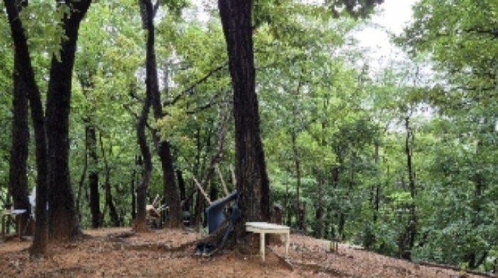 부동산 안 등산로3