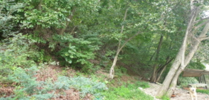 목록2. 토지(임야) 우측 전경