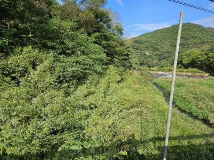 기호 2 토지 중 북측 포락지 부분