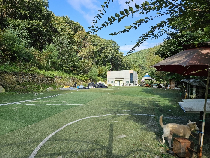 기호 4 주변 전경