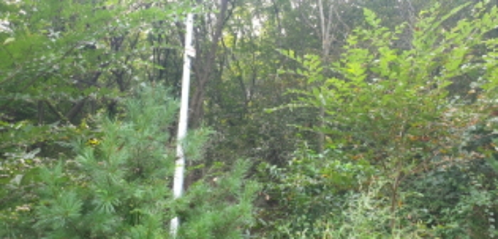 목록2. 임야 좌측 정면 전경