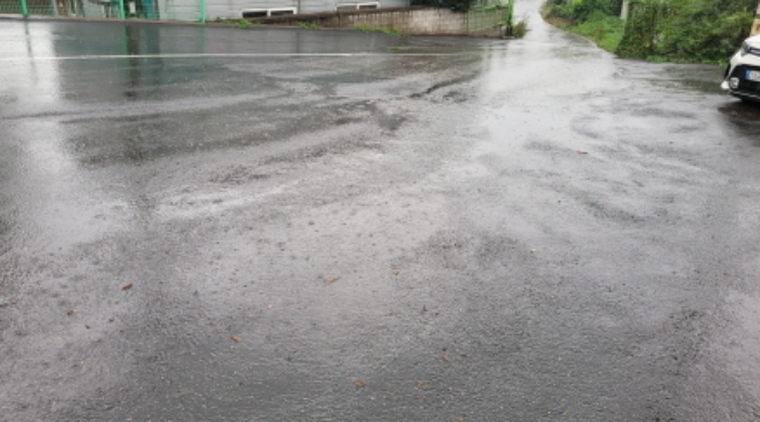 목록 5,6. 전경 2