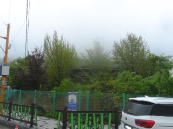 기호 1번 근거리에서 촬영한 것임