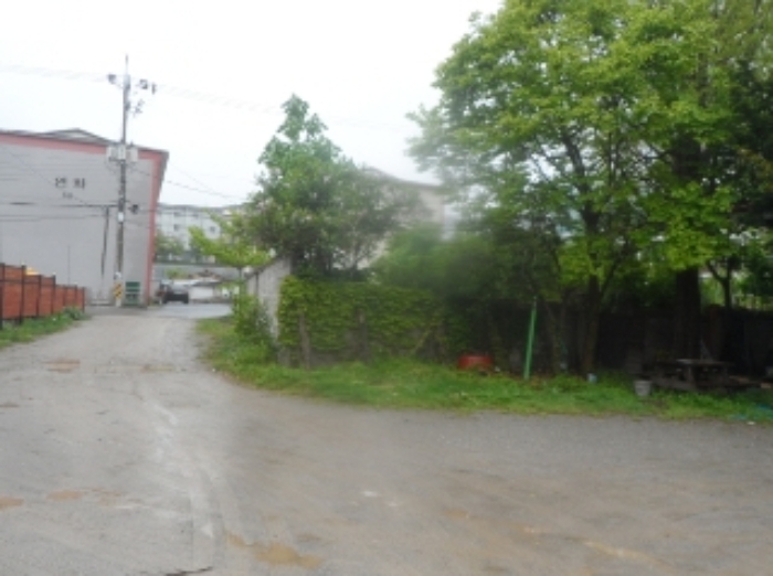 기호 1,3번 근거리에서 촬영한 것임