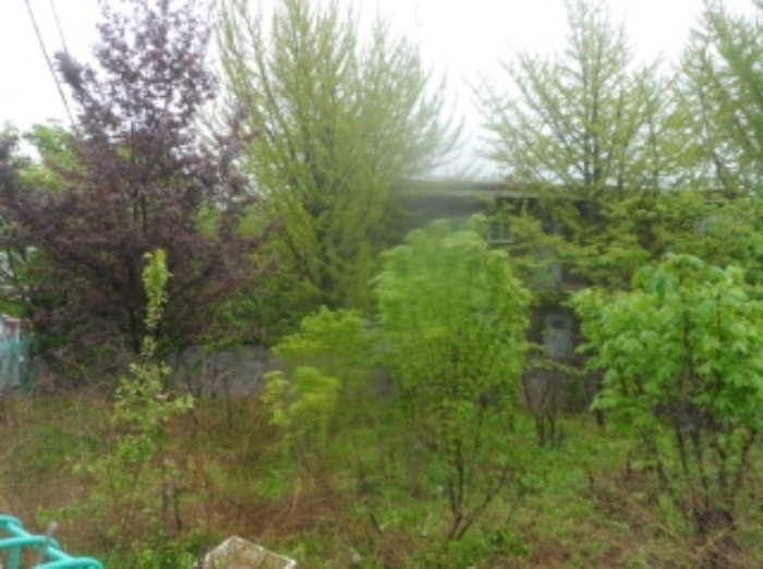 기호 1번 근거리에서 촬영한 것임