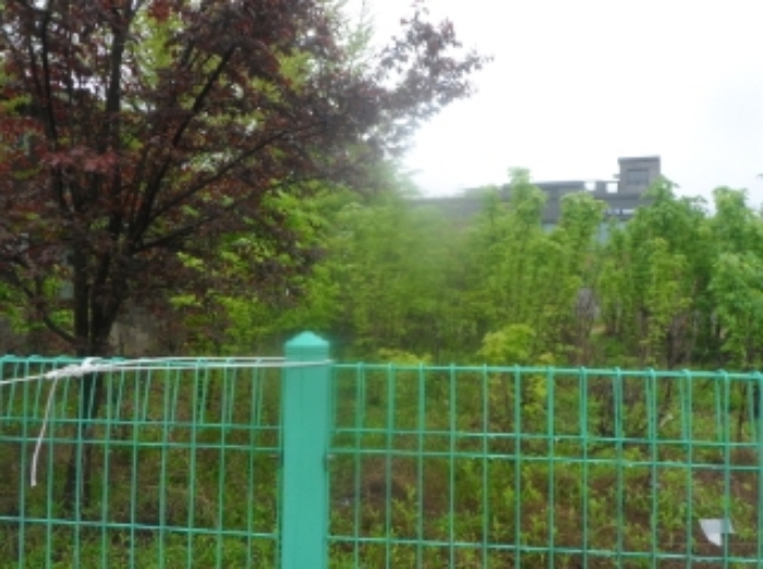 기호 1번 근거리에서 촬영한 것임