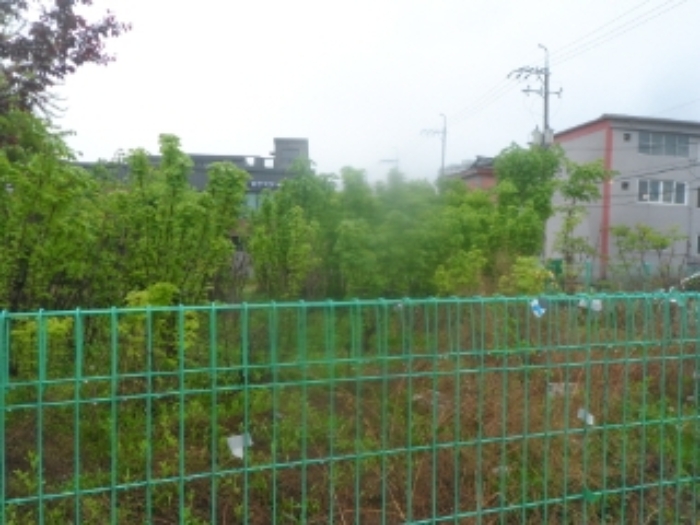 기호 1번 근거리에서 촬영한 것임