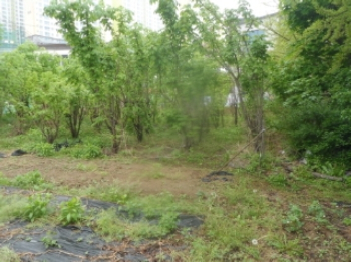 기호 1번 근거리에서 촬영한 것임