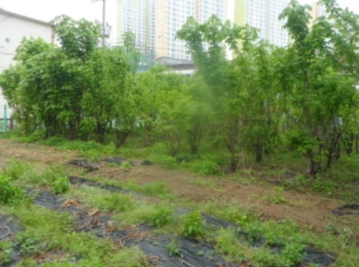 기호 1번 근거리에서 촬영한 것임