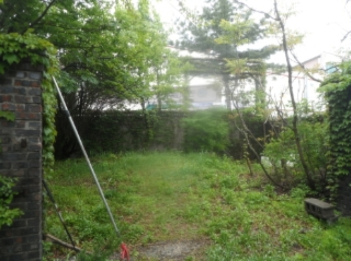 기호 1번 근거리에서 촬영한 것임