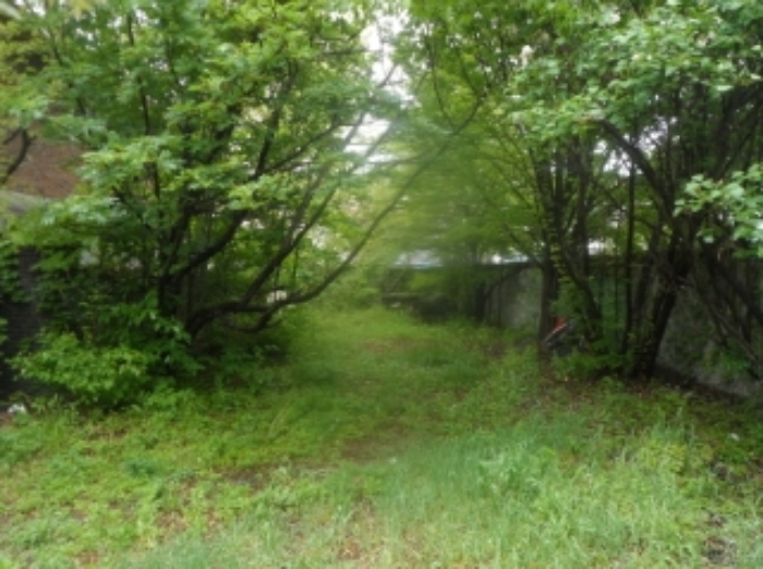 기호 1번 근거리에서 촬영한 것임