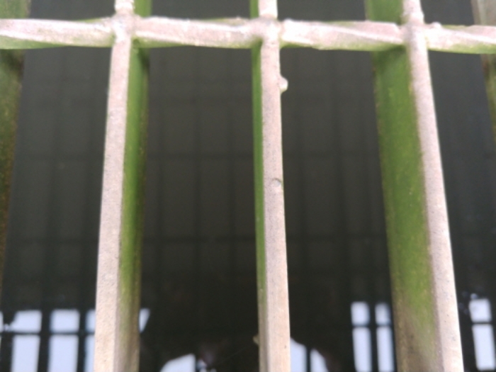 스팀보일러(세정탑) 모습2