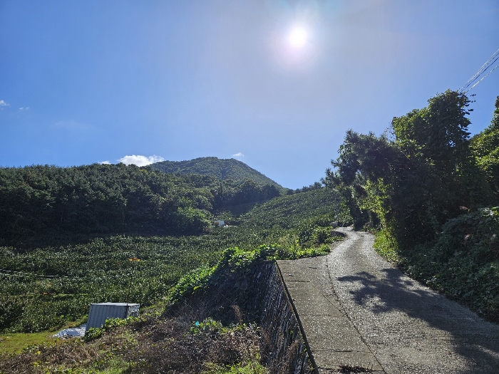 본건 및 주위환경
